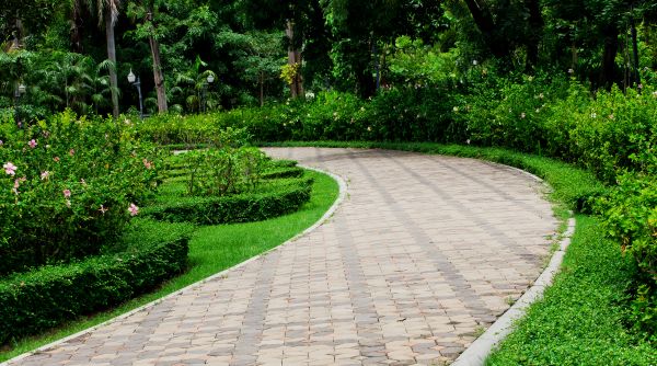 Paver Walkway Repair in Tampa