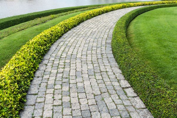 Sidewalk Pavers Installation in Tampa