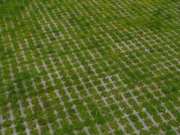 Permeable Pavement Service in Tampa