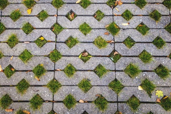 Porous Pavers Installation in Tampa