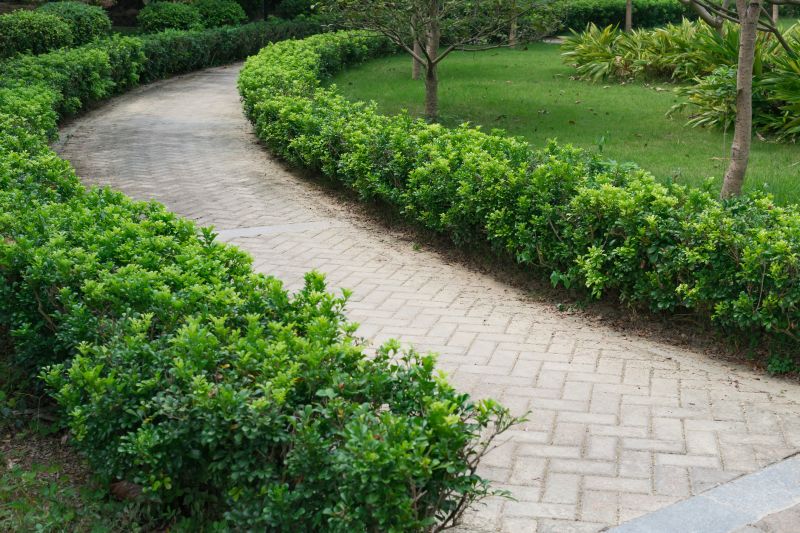 Landscaped Paver Path